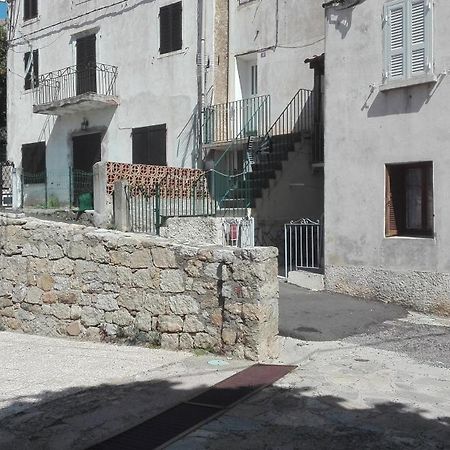 Apartament Niolu Albertacce Zewnętrze zdjęcie